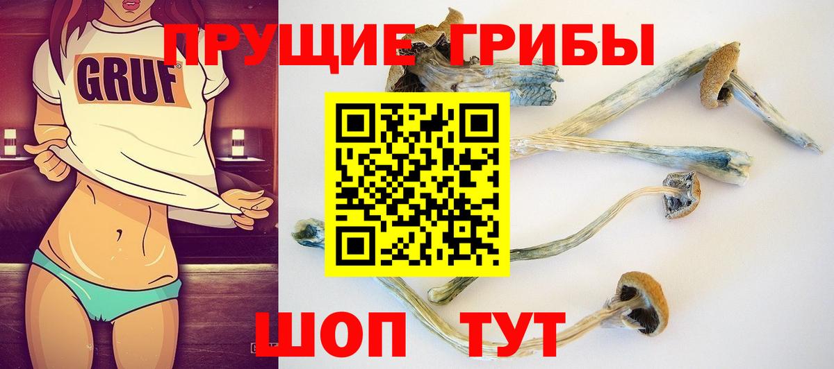 ГАШ Черняховск