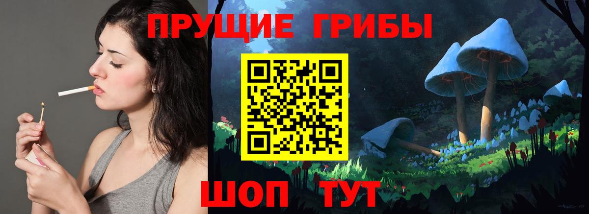 Галлюциногенные грибы прущие грибы Черняховск